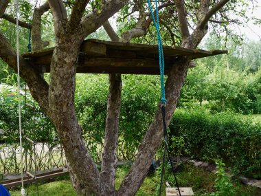 Güzel, basit, yaratıcı ağaç ev