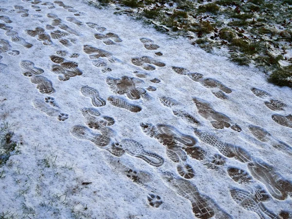 Ślady stóp w śniegu Zdjęcia Stockowe bez tantiem
