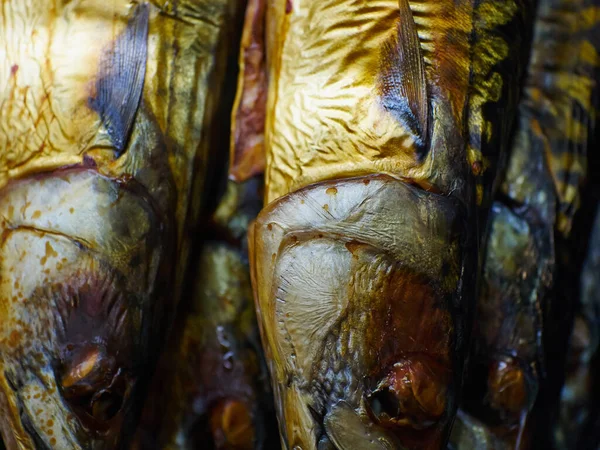 Appetizing Smoked Fish Mackerel Closeup Great Starter Dish — Stock Photo, Image