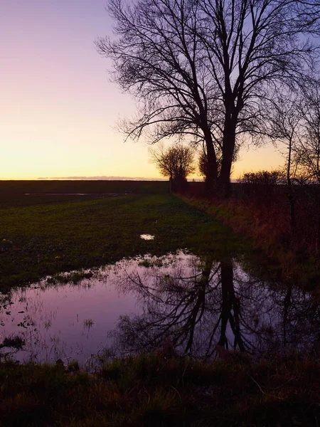 池の上のピンク紫色の美しい夕日の景色 — ストック写真