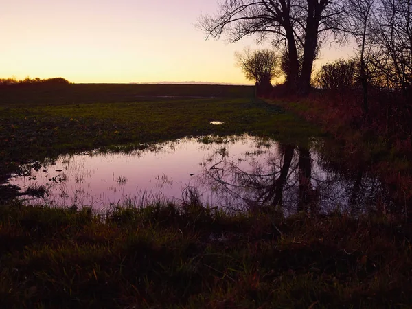 Vue Panoramique Magnifique Coucher Soleil Aux Couleurs Violettes Roses Sur — Photo