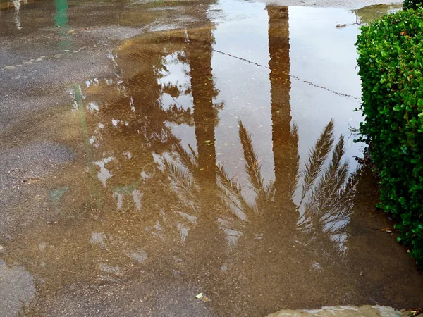 Riflessione Dell Ambiente Circostante Una Pozzanghera Dopo Pioggia — Foto Stock