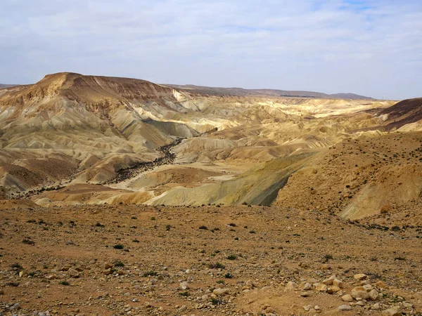 Ein Avdat Közel Sde Bokerin Negev Sivatag Izrael Turisztikai Mérföldkő — Stock Fotó