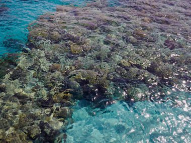Kızıl Deniz 'in güzel manzarası. Meşhur tatil beldesi ve İsrail' deki Kızıl Deniz 'de doğa gezisi ataşesi.