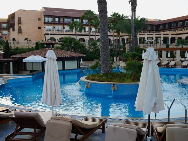 スイミングプール ヤシの木 リゾートホテルのサンベッドパフォス キプロス 偉大で人気のある夏の旅行休暇の目的地 エリシウムホテル パフォス キプロス 2019年7月 — ストック写真