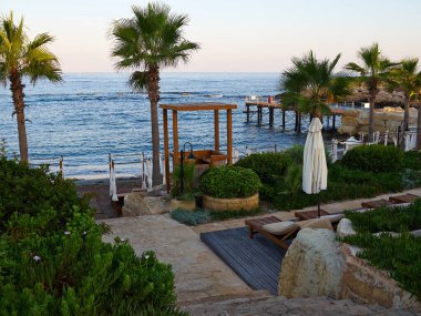 Deniz kenarı plajı, palmiye ağaçları ve tatil beldesinin güneşlik yatakları Elysium Hotel, Paphos, Kıbrıs, Temmuz 2019