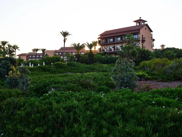 有名な豪華なリゾートホテルの一般的なビュー偉大で人気のある夏の旅行休暇の目的地 Elysium Hotel Paphos キプロス 2019年7月 — ストック写真