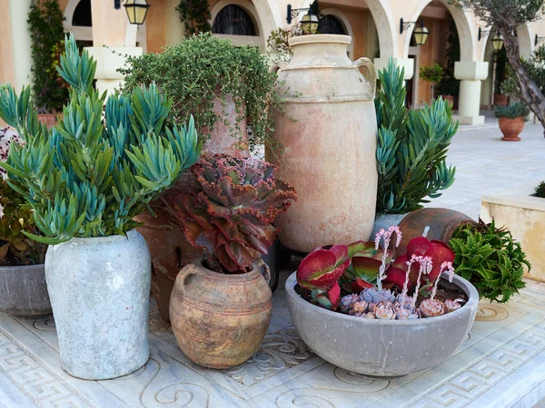 Decorativa Típica Cipriota Artesanal Artesanal Vasos Barro Com Plantas Jardim — Fotografia de Stock