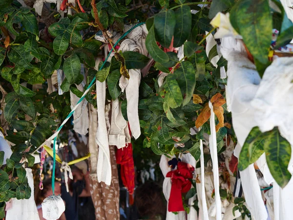 Superstición Tradicional Donde Gente Cuelga Árbol Notas Decoraciones Con Deseos — Foto de Stock