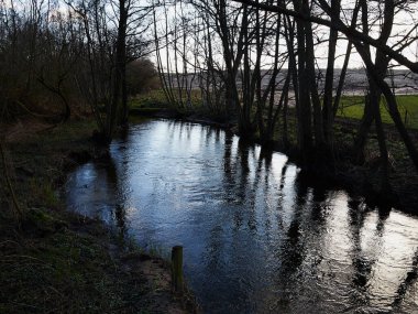 Yeşil yemyeşil bir orman arka planında küçük, güzel bir dere nehri.