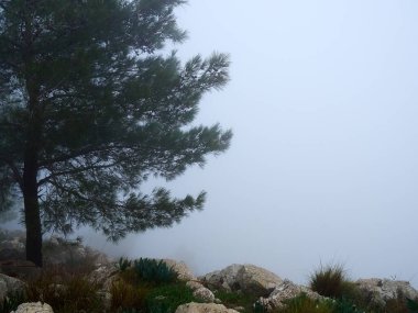 İsrail 'in Celile bölgesindeki Nasıra' daki Precipice Dağı. İsa 'nın Reddedildiği yer