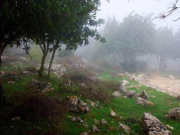 Mont Précipice Nazareth Dans Région Galilée Israël Site Rejet Jésus — Photo