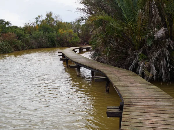 Puente Pie Madera Reserva Natural Ein Afek Río Naaman Israel — Foto de Stock