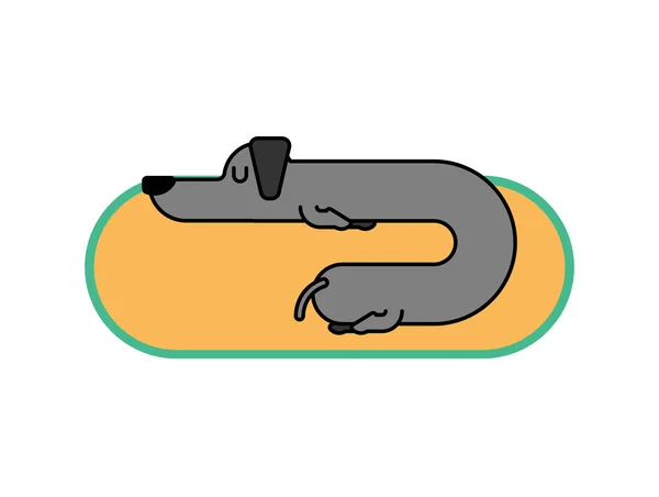 腊肠犬睡线性风格。狗是很长。搞笑黑人家庭宠物 — 图库矢量图片
