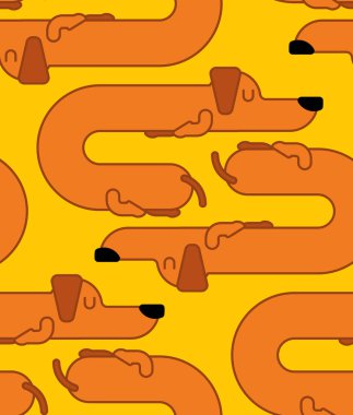 Dachshund desen uyur. köpek uzun bir süs olduğunu. komik turuncu hom