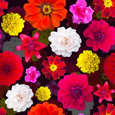 Bahçe çiçek deseni sorunsuz. Çiçek doku. kadife çiçeği, Dahli