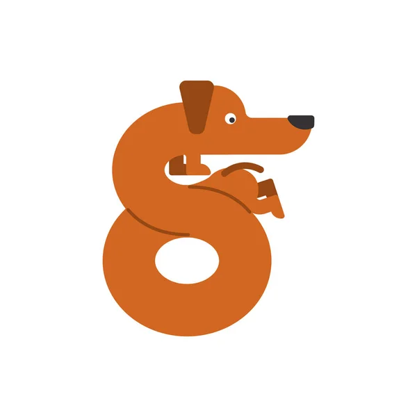Obrázek 8 psa. Jezevčík písmo osm. Domácí zvířata Abc symbol. Domů — Stockový vektor