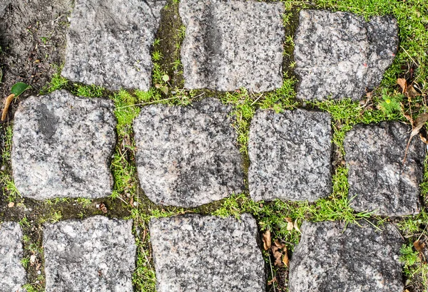 Çim ve moss ile taş tuğla — Stok fotoğraf