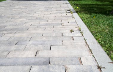 Graystone kaldırım çim ile. arka plan, doğa
