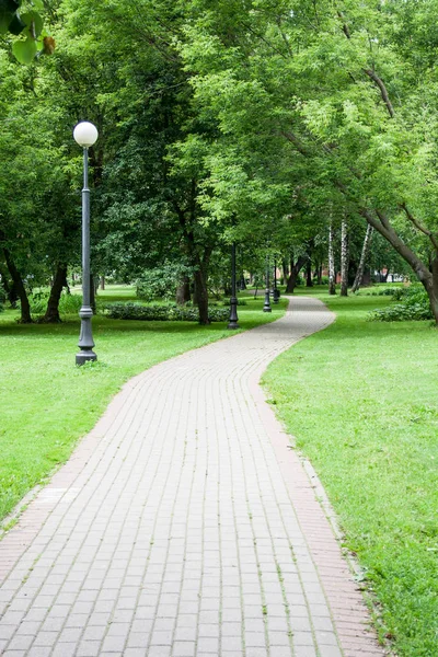 Sendero a través del parque. fondo, naturaleza . — Foto de Stock