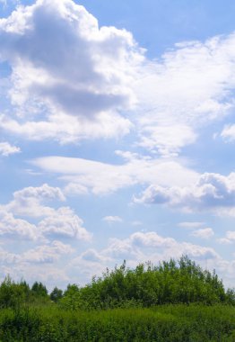 alan bulutlar. arka plan, doğa