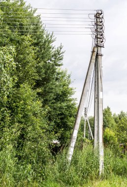 Akım hattı eternet ayağı forest yakınındaki. arka plan, doğa.
