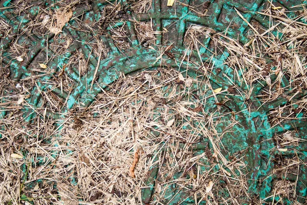 Avloppsledning kläcks under torkat gräs. bakgrund, mönster. — Stockfoto