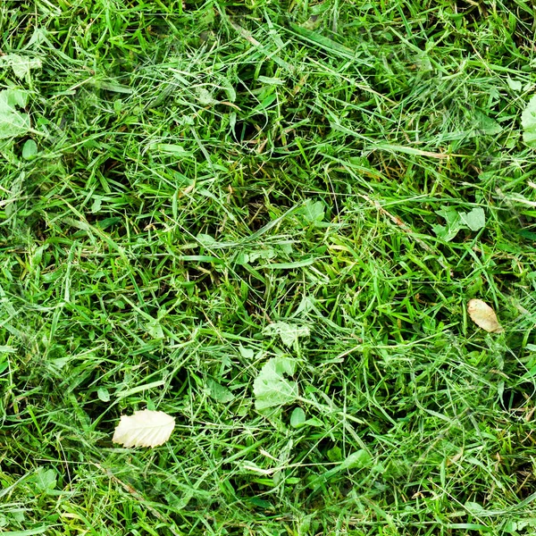 Erba verde falciata senza soluzione di continuità. Sfondo, texture — Foto Stock