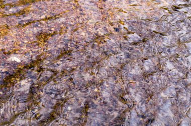 kumlu alt ile nehir su doku. arka plan, doğa.