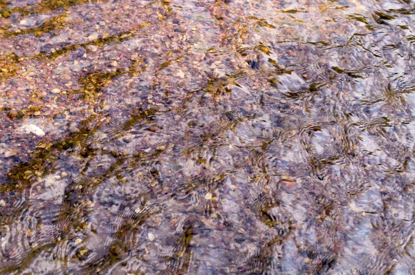 kumlu alt ile nehir su doku. arka plan, doğa.