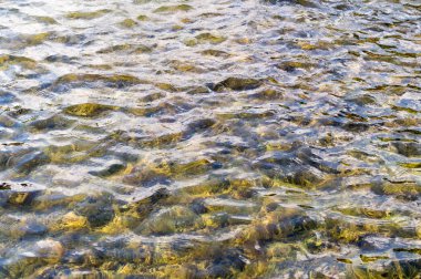 döşemeli havuzu su doku. arka plan, doğa.