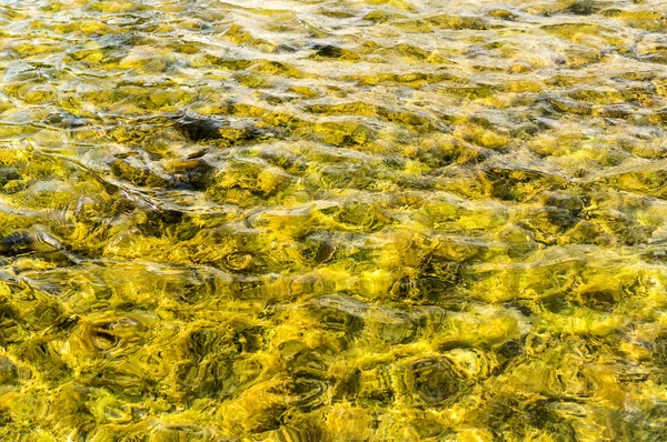 döşemeli havuzu su doku. arka plan, doğa.