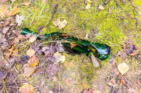 Разбитая бутылка на земле в forest.object, природа, загрязнение . — стоковое фото