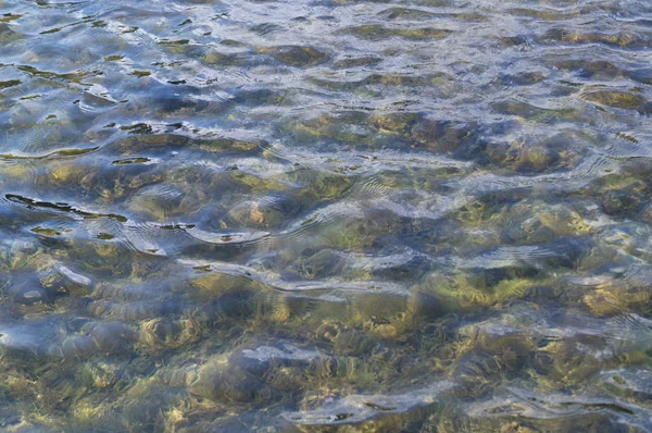 Textura del agua en la piscina de azulejos. fondo, naturaleza . — Foto de Stock