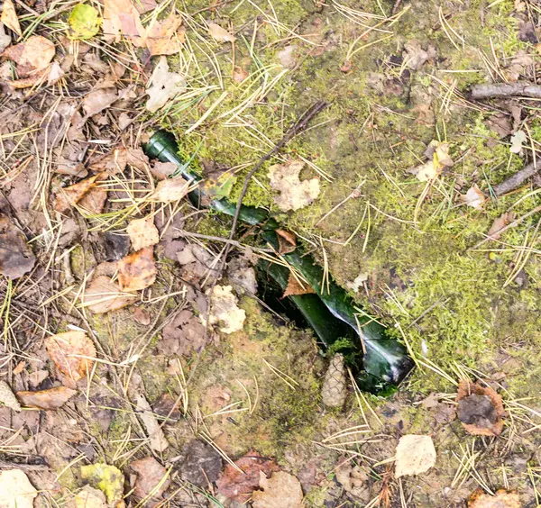 Разбитая бутылка на земле в forest.object, природа, загрязнение . — стоковое фото