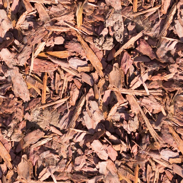 Copeaux de bois sans couture sur la texture du sol. contexte . — Photo