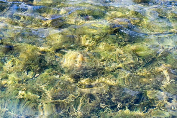 döşemeli havuzu su doku. arka plan, doğa.