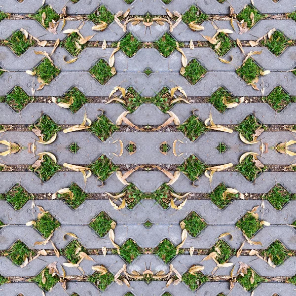 Απρόσκοπτη πράσινο γρασίδι σε τρύπες της κυβόλιθοι με σπόρους στο φθινόπωρο. παρασκήνιο, μοτίβο, υφή. — Φωτογραφία Αρχείου