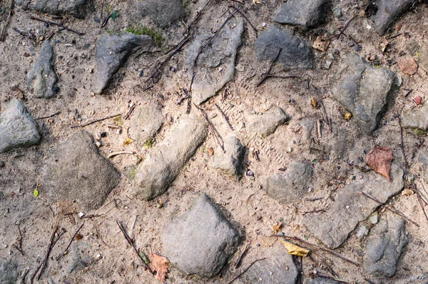 Camino de piedras en el suelo. textura, fondo . — Foto de Stock