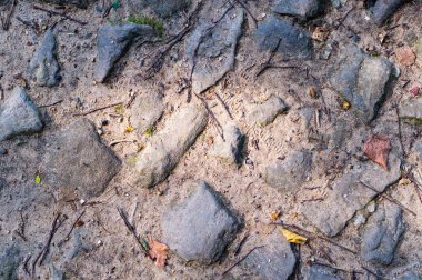 taşlar yere yolu. doku, arka plan.