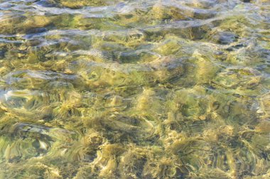 döşemeli havuzu su doku. arka plan, doğa.