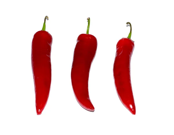 Papryka chili na białym tle. żywności, obiekt. — Zdjęcie stockowe
