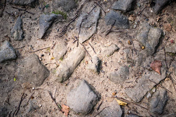 Weg der Steine auf dem Boden. Textur, Hintergrund. — Stockfoto