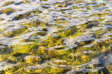 döşemeli havuzu su doku. arka plan, doğa.