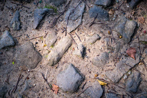 Chemin de pierres sur le sol. texture, fond . — Photo