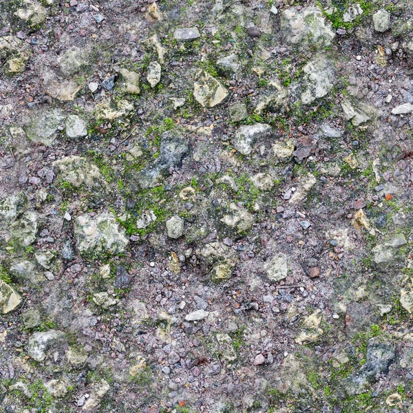 Seamless rocky ground with moss texture. background. — Stock Photo, Image