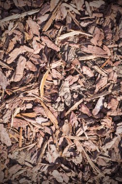 zemin dokusu üzerinde ahşap cips. Arka plan.