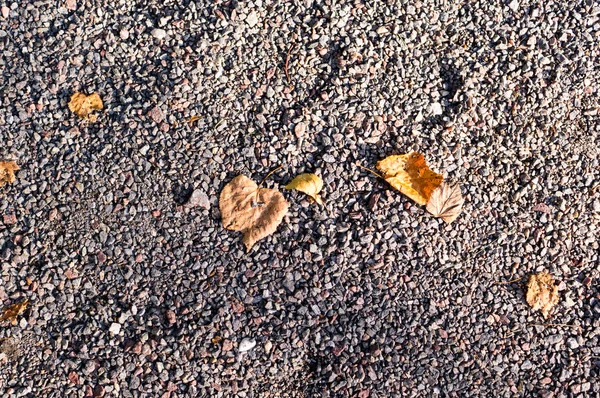 Zanderige stenen grond met herfstbladeren. achtergrond, textuur. — Stockfoto