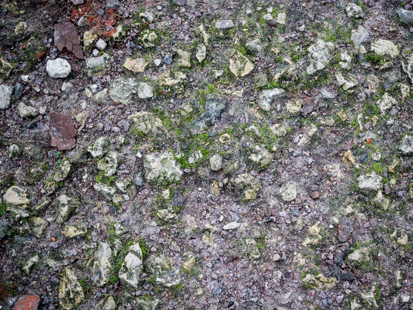 Gray Rocky Ground Moss Texture Background — Stock Photo, Image