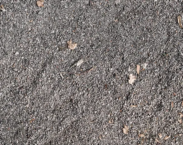 葉のついた灰色の粗い砂の地面 テクスチャ — ストック写真
